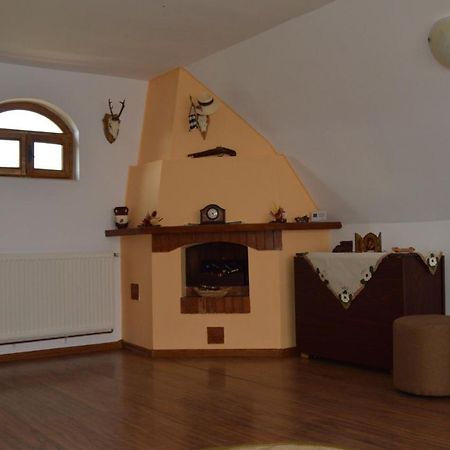 Bed and Breakfast Casa Vlasea Albesti Сигишоара Экстерьер фото