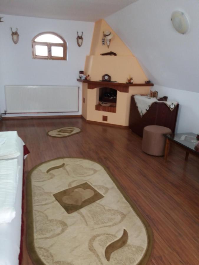 Bed and Breakfast Casa Vlasea Albesti Сигишоара Экстерьер фото