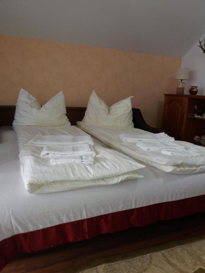 Bed and Breakfast Casa Vlasea Albesti Сигишоара Экстерьер фото