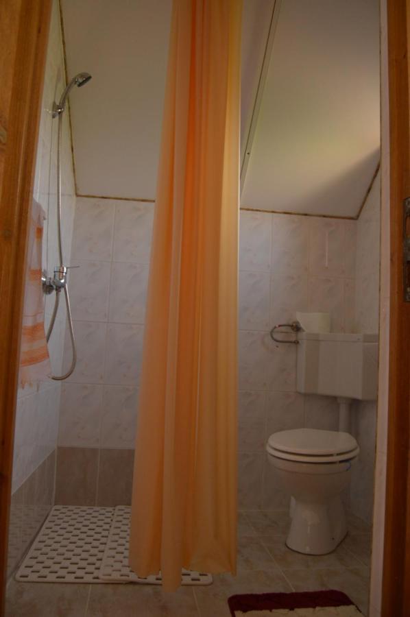 Bed and Breakfast Casa Vlasea Albesti Сигишоара Экстерьер фото