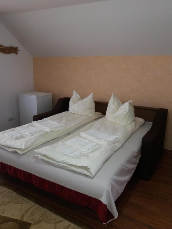 Bed and Breakfast Casa Vlasea Albesti Сигишоара Экстерьер фото