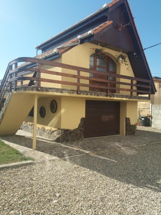 Bed and Breakfast Casa Vlasea Albesti Сигишоара Экстерьер фото