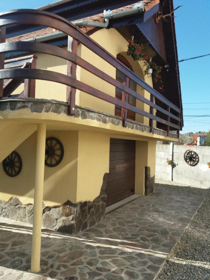 Bed and Breakfast Casa Vlasea Albesti Сигишоара Экстерьер фото