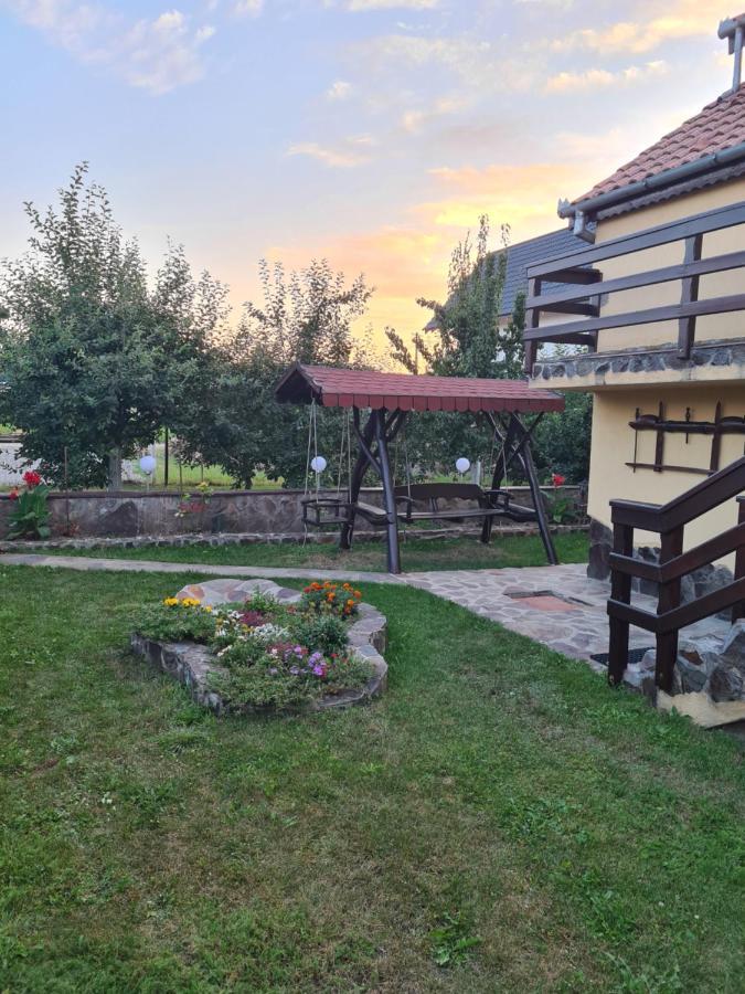 Bed and Breakfast Casa Vlasea Albesti Сигишоара Экстерьер фото